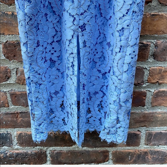 LOVER the Label Corded Lace Sheath Dress - Picture 13 of 16